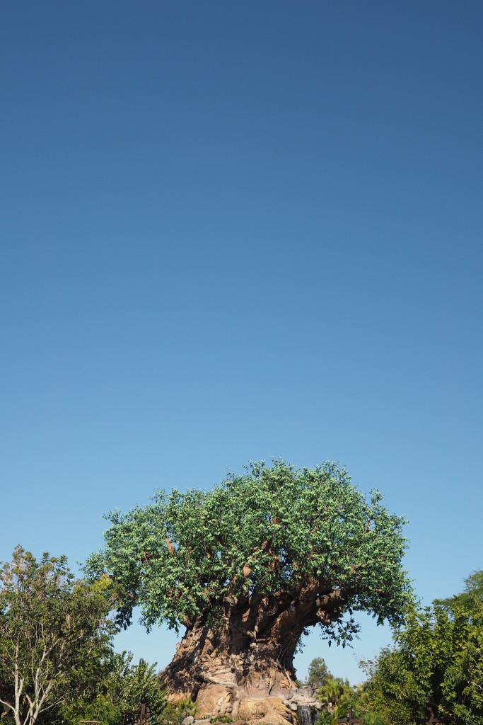 Walt Disney Instagram Locations Animal KIngdom