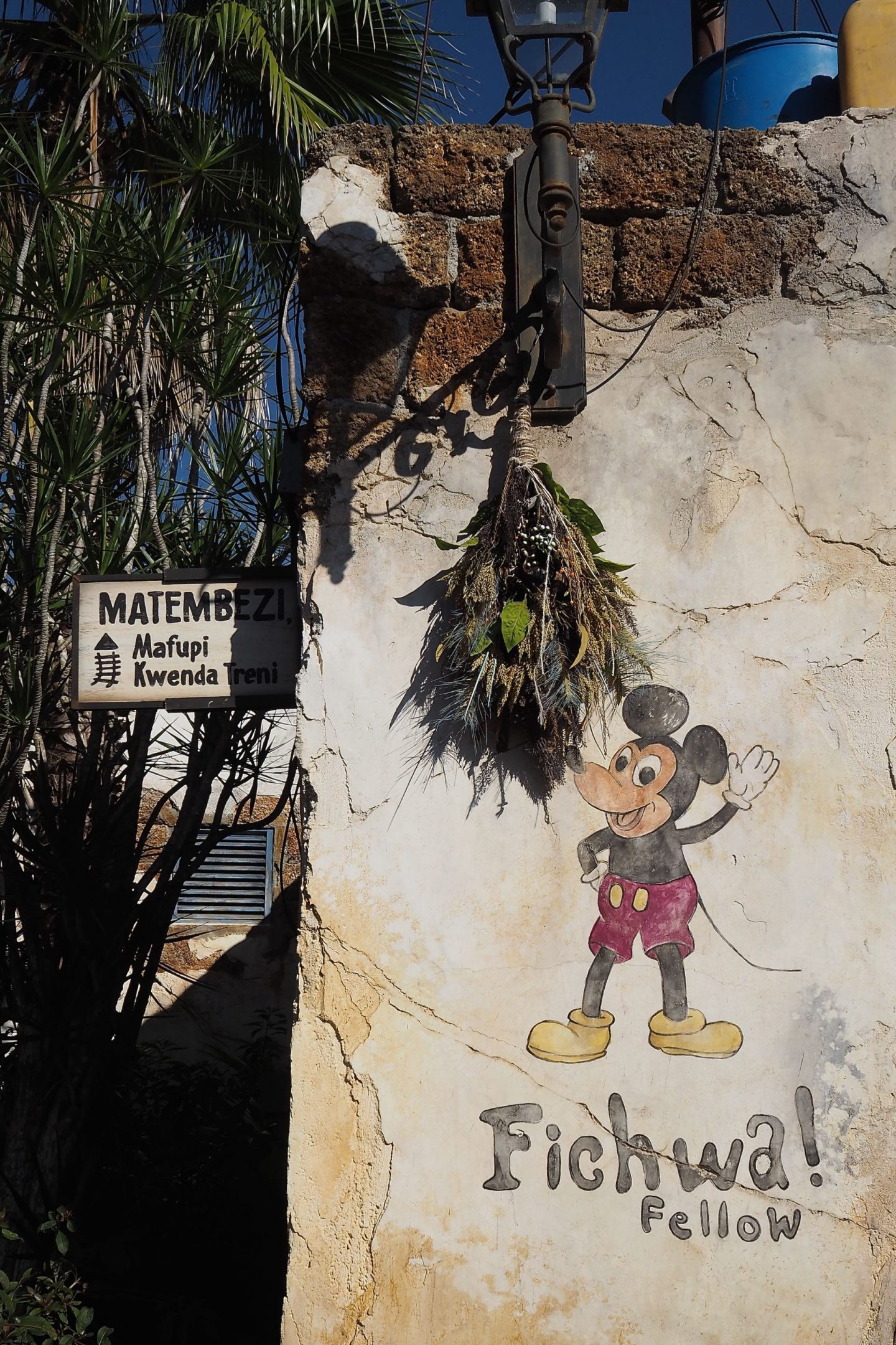 Walt Disney Instagram Locations Animal Kingdom