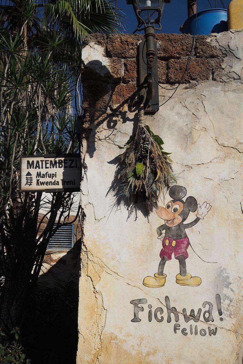 Walt Disney Instagram Locations Animal Kingdom